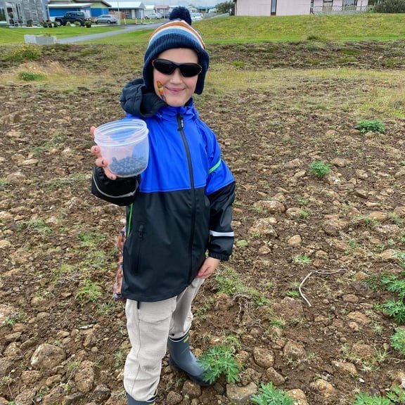 241442931_935775340344199_5518393301262284389_n