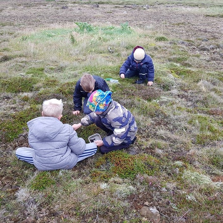 241507066_1490491157981677_8879734994157477078_n