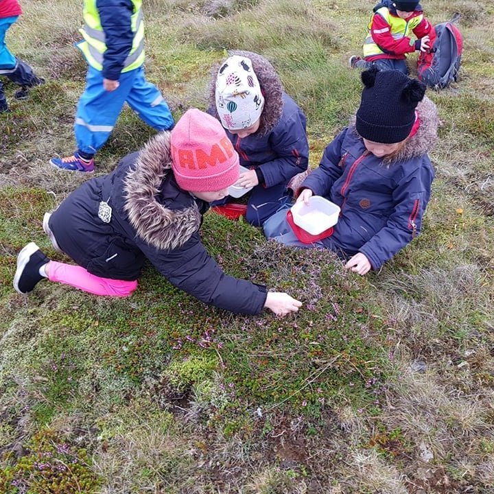 241553774_570113520884734_362007967119189857_n