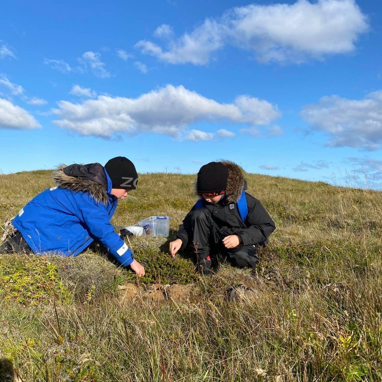 118767801_325360645568531_34272674903787482_n