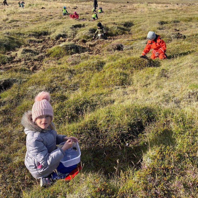 118780602_316261206132269_8977779001259565331_n