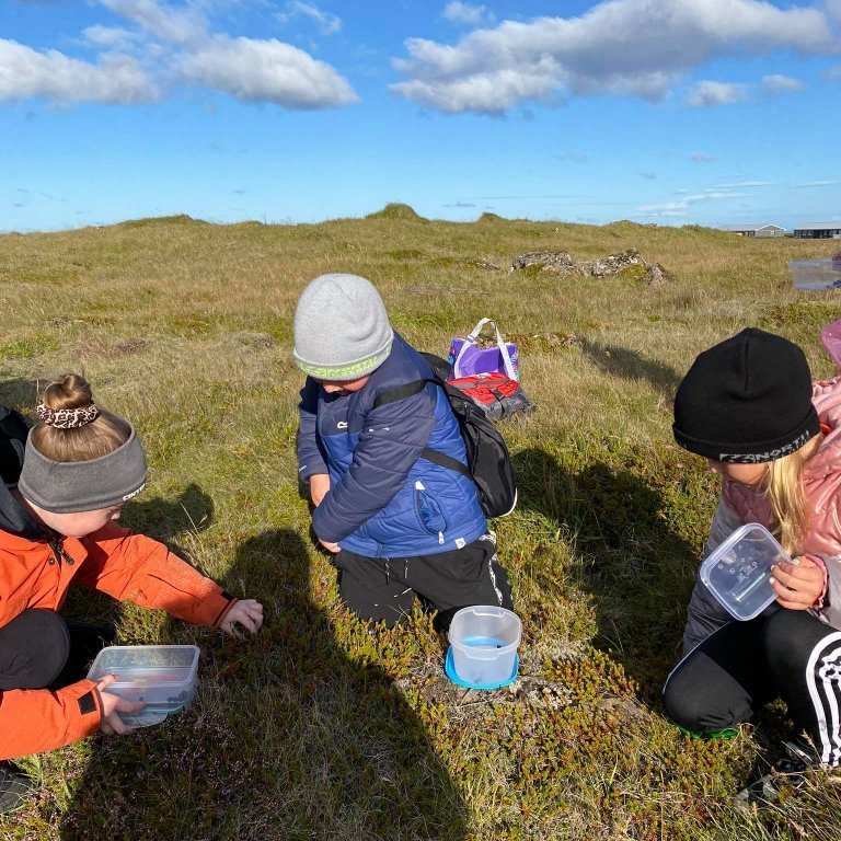 118930772_774325323393493_1544642840333931662_n