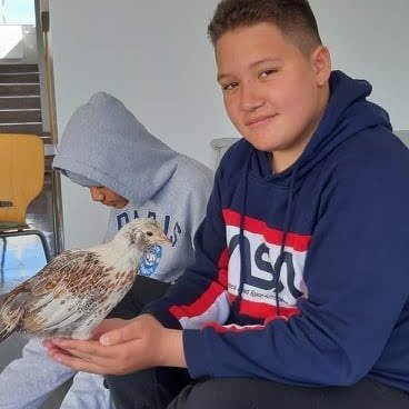 01a73912-5445-4a07-94ab-b265ba2c1cea1706