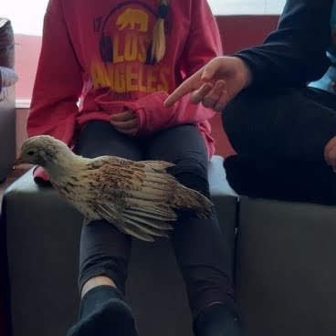 040a2145-b06a-4efa-a15b-88b31d5ef08d1713