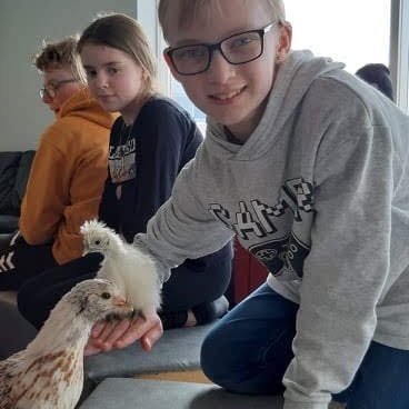 1662e2ab-1903-4652-8d1a-af559b99cca91705