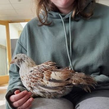 3b41e3c0-2a7e-42d1-afa8-863d1add2b121726