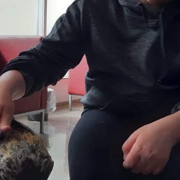 4584bc22-d1d7-4fa3-b24d-17e63575c2e21719