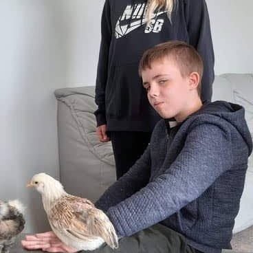 808bfb7d-f5d3-458d-90f6-d3cc4d61760e1698