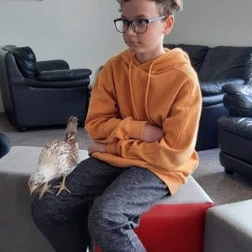 8a0d13a8-907d-4e4d-9564-a8056343932d1703