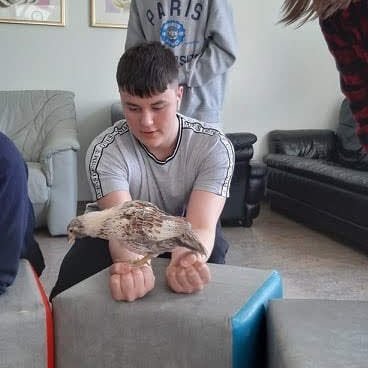 8cf6f2df-be28-4753-a6b7-cc4000c9c4071717