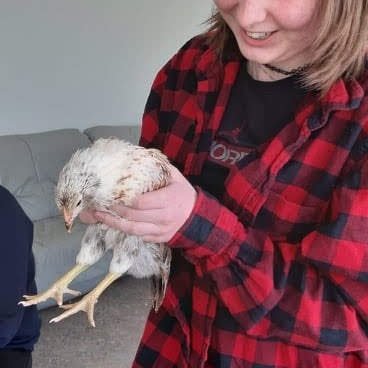 90c76520-75af-4345-b2b4-7600f3088ca91707