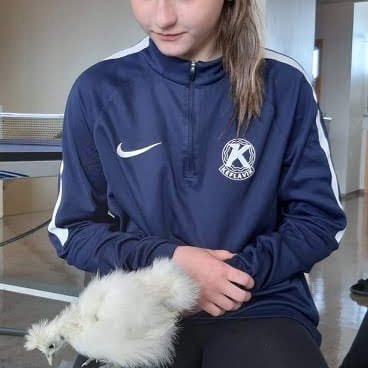 984d7d66-789b-46d0-be66-76d282005d421700