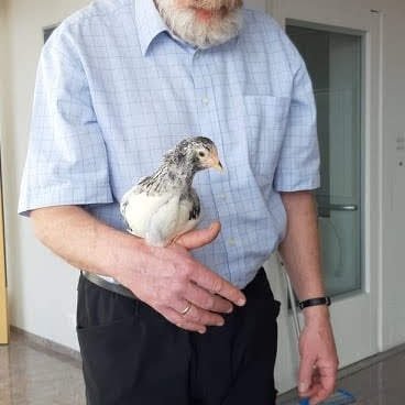 a8d4a347-668b-4f06-82a3-4bac43fe74ed1711