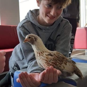 ac71ce1b-61ff-44b6-9dd4-86be0965aeae1708