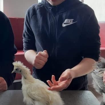 cfb7950d-2ec0-4799-9bfc-2e597c1b8b3f1718-1