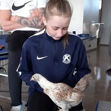 d5ba47dc-8675-4909-9123-01114c76e5021699