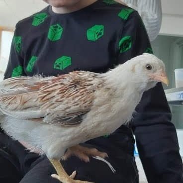 df1e90cc-2887-4557-bd8d-c4572dce0c791714