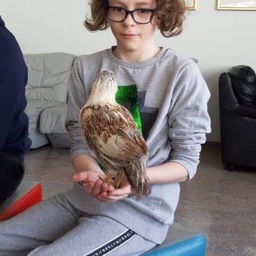 e09a43b9-9ee9-4925-8957-3214ae68f0101697