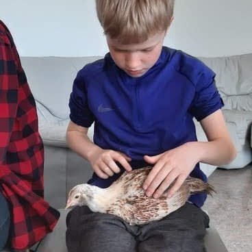 e15c55fa-b986-43fa-b7cc-d58a66afa74a1716