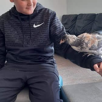 e3807350-9a1e-43df-9a48-2bb8d67f7dc31724