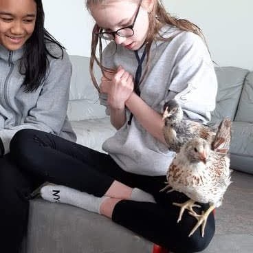 e7c5d59b-61d8-4a9d-8472-3cc05236e9101704