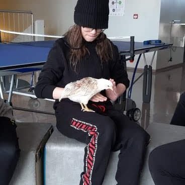 ebd1b9f6-ed2f-47e7-9ad3-fa0ff3a93ed21702-1