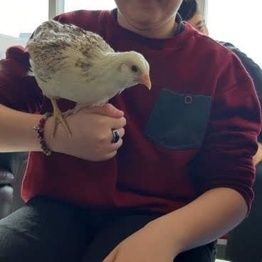 f6038243-cb20-4e9c-bdde-5330baded5f91727