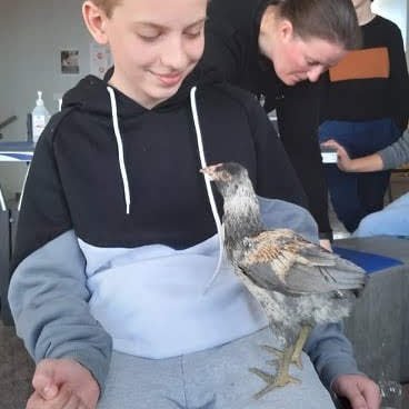 fa77d116-3b9a-4eb5-9010-95a5455469b81710