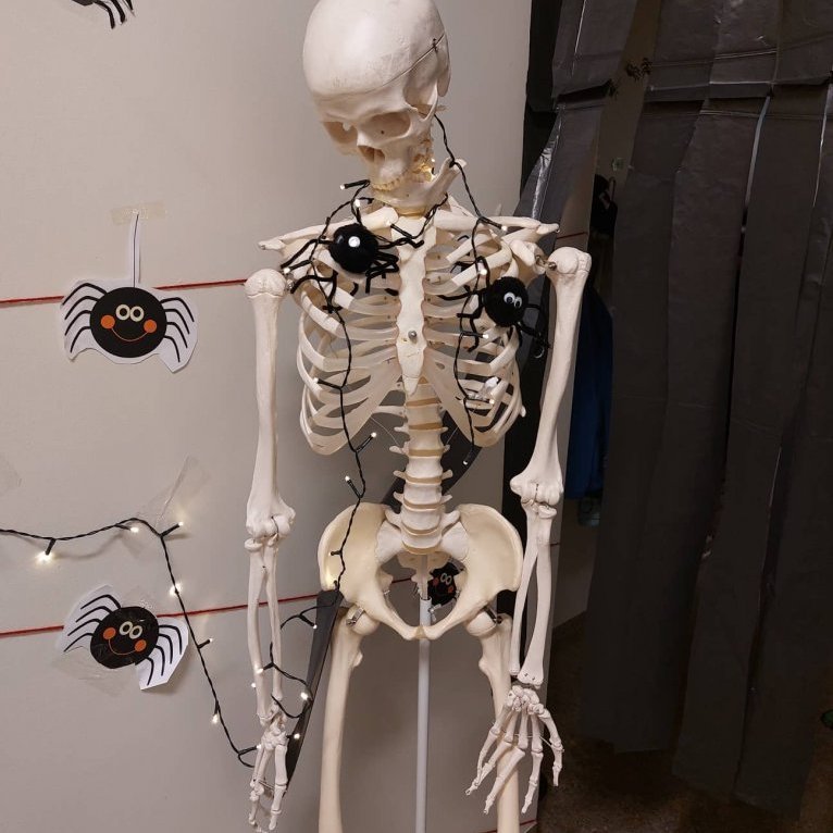 313001485_3359094051027973_6051362429558755291_n