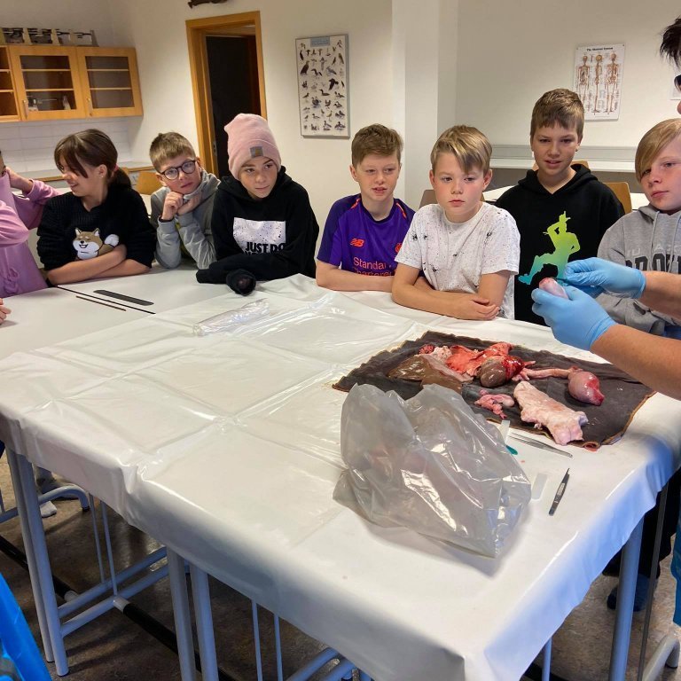 120997365_626087358080722_923825784056703940_n