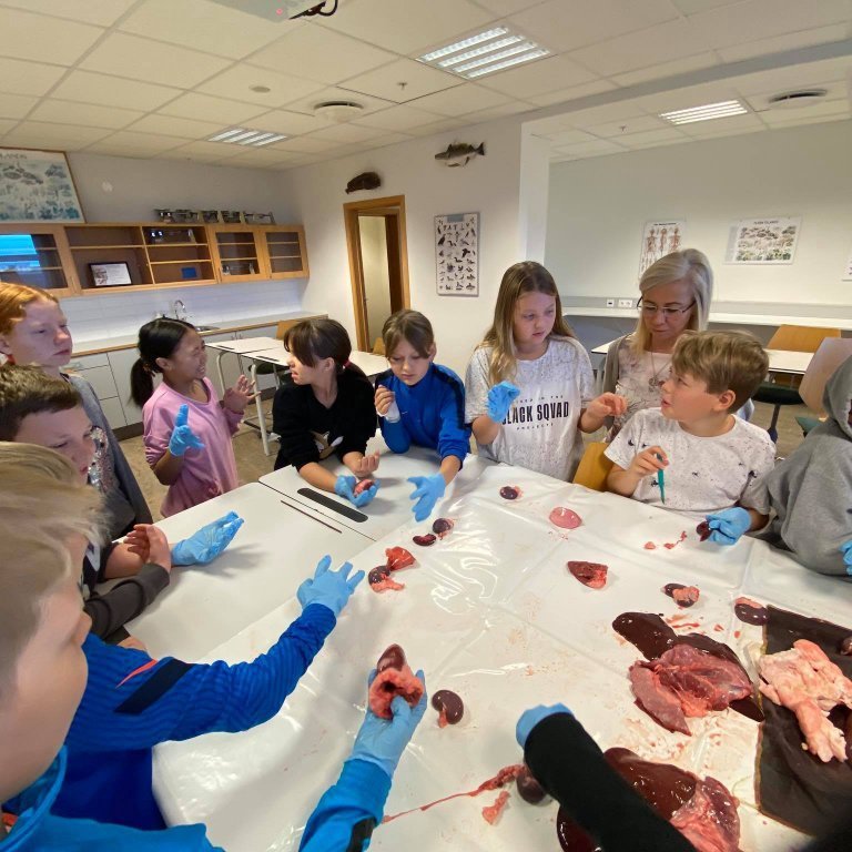 121048706_394993344840731_3571814869803947510_n-1