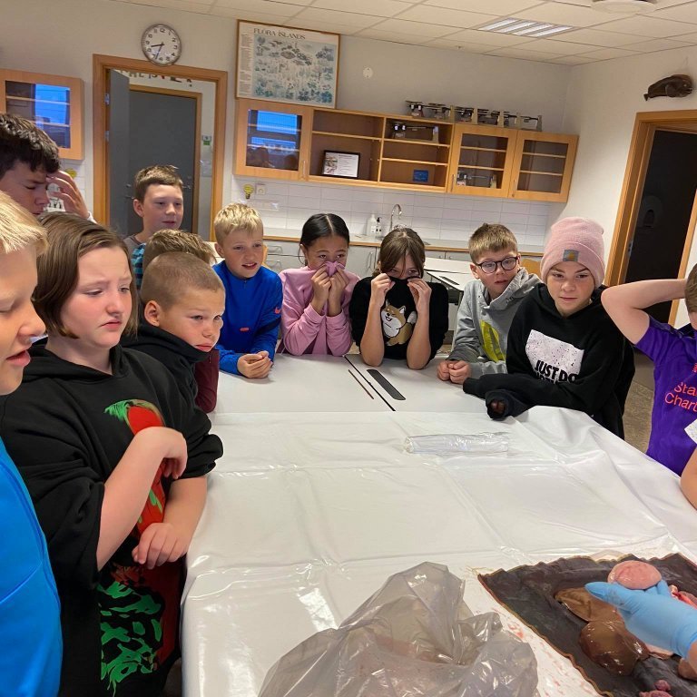 121057160_687817931829839_8352535952009149936_n