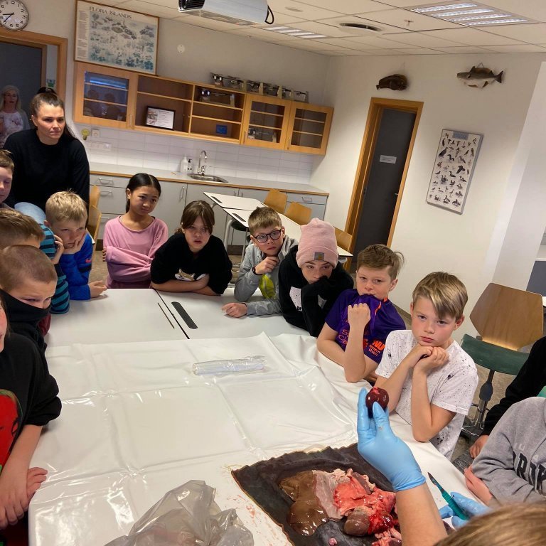 121076378_1717974575021522_1881802514613381074_n