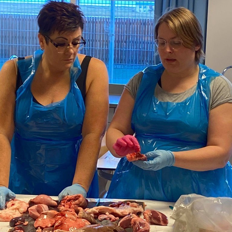 121084555_3600744599956551_7435415390325118291_n