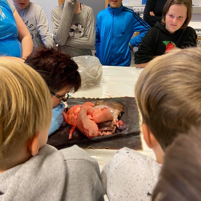 121095794_1067032010420442_6794598509814228204_n