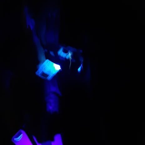 150976151_1100035580516170_8822008181235623774_n