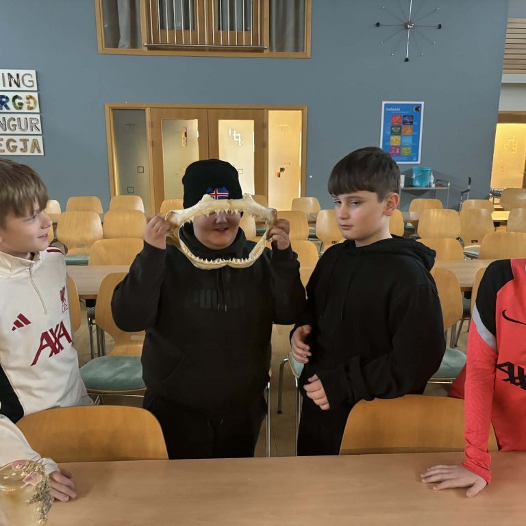 144bb8e4-8c81-4808-bec9-0ae3c25b92be