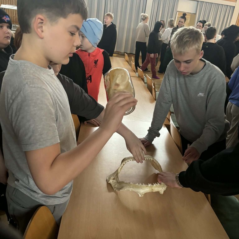 50e91e1b-7ea2-40de-9d99-3f164ca90f76