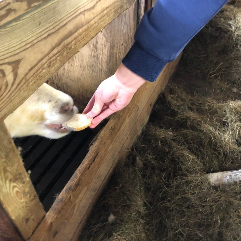 279175105_1460088827727775_273249088870008866_n