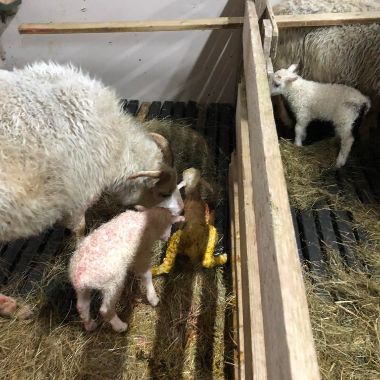 279380356_396606118983698_4820148115674825361_n