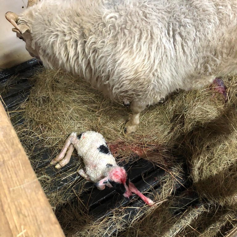 279687596_596067251362842_5766240336344687588_n