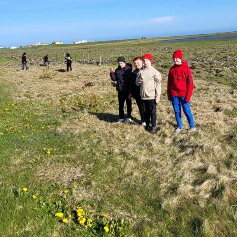 d032a4dc-8620-40f2-a507-0254ad5c9536