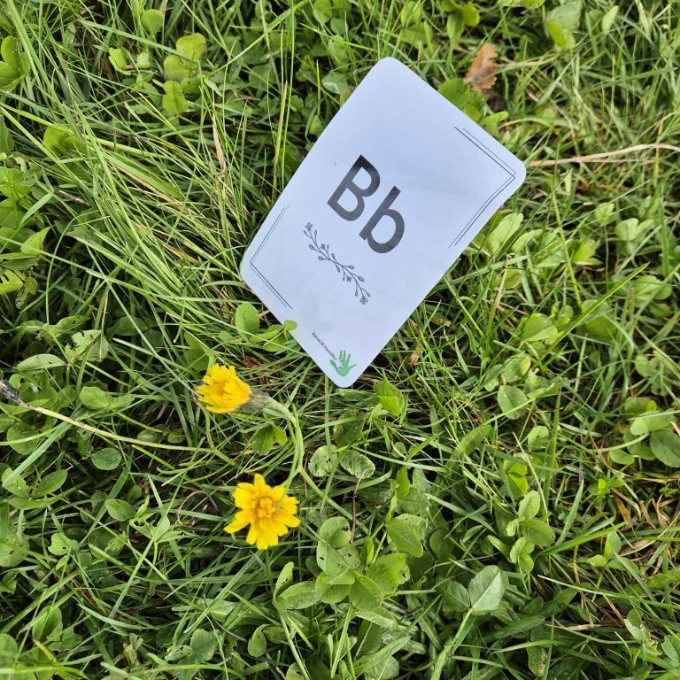 547698252_1676670556346543_1164623636523798481_n