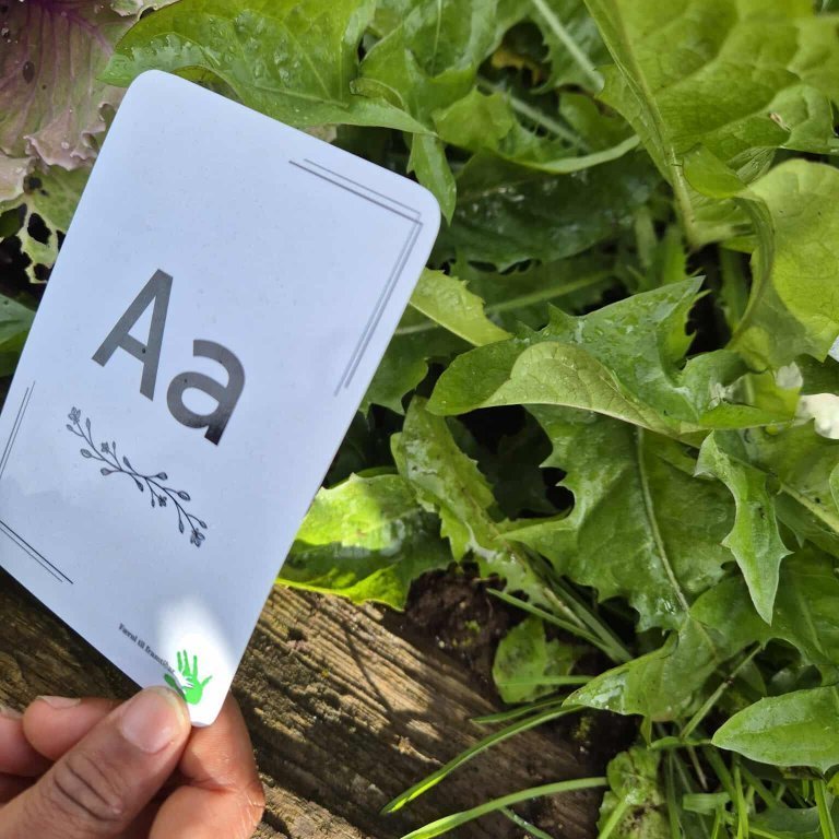 548197866_1107546478229018_2688119505162659155_n