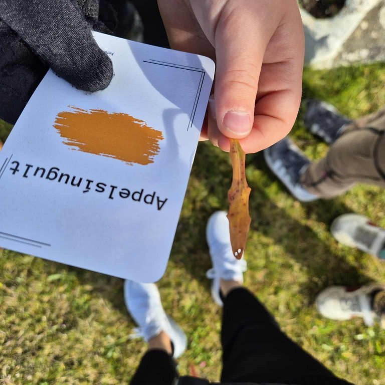 548405483_1089986783204405_3061929944101389629_n