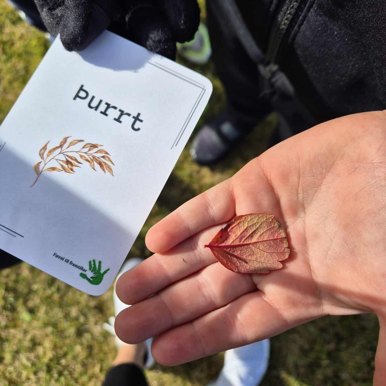 548709418_1677499856276438_7512793116673437719_n