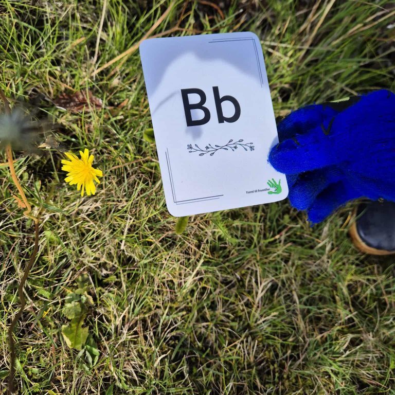 549705983_1862282447974323_2125038265496827972_n