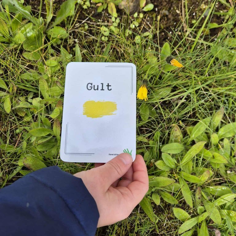 550349080_1307112734246134_360229765784256012_n