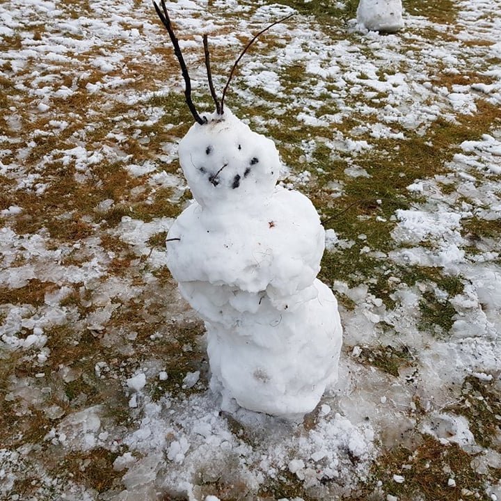 258216480_1491122771263254_2701128789491415062_n