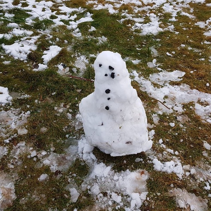 258764600_313061803742141_5960738157748385293_n